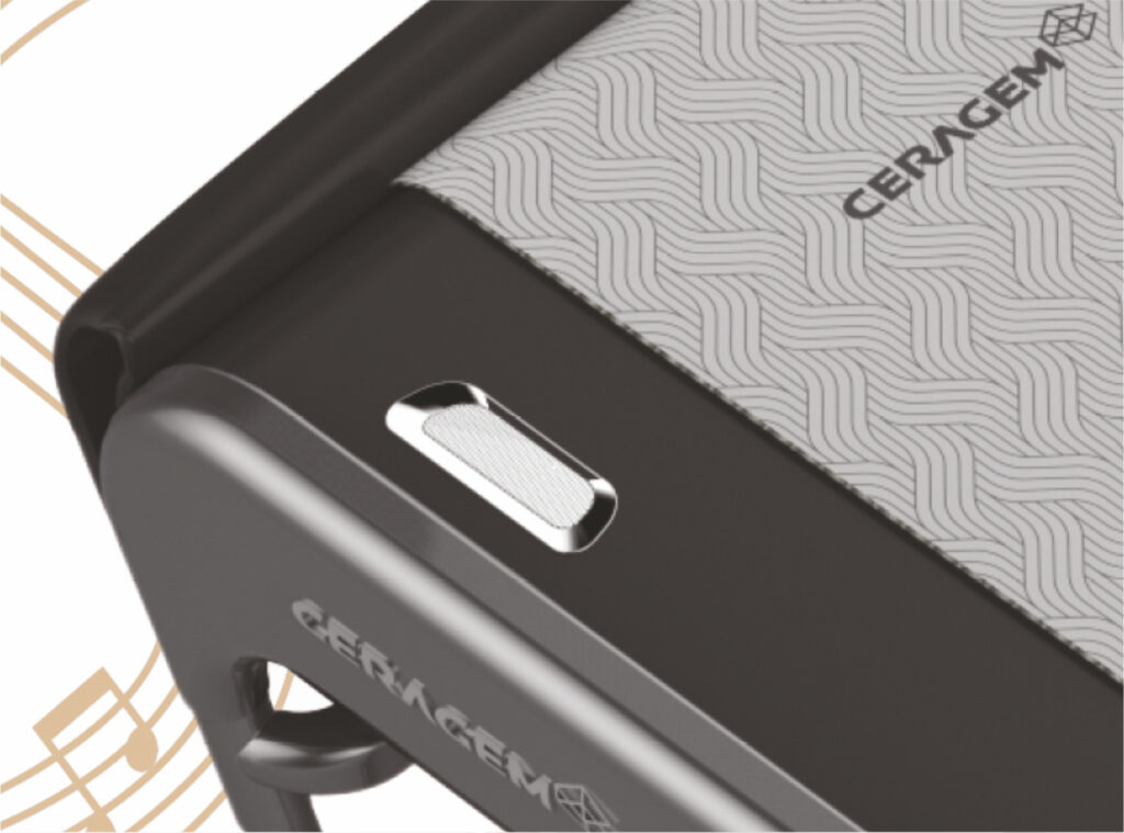 Bluetooth Speaker in Ceragem Master V4